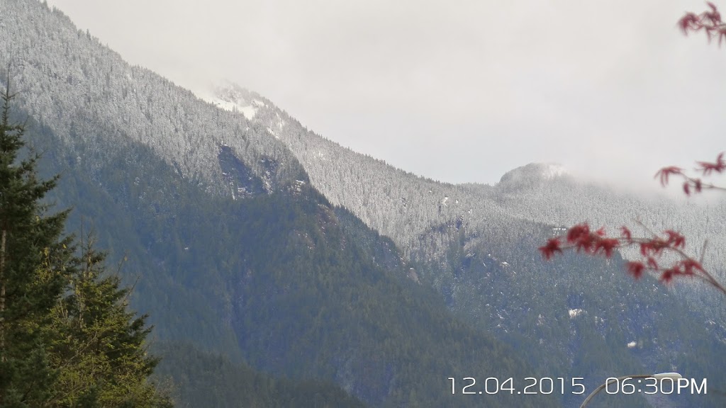Old Hope Husky | 333 Old Hope Princeton Way, Hope, BC V0X 1L4, Canada | Phone: (604) 860-4070