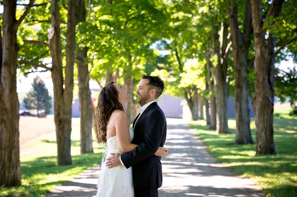 Pixel Light Studios | Stonecairn Dr, Cambridge, ON N1T 1X1, Canada | Phone: (519) 500-3036