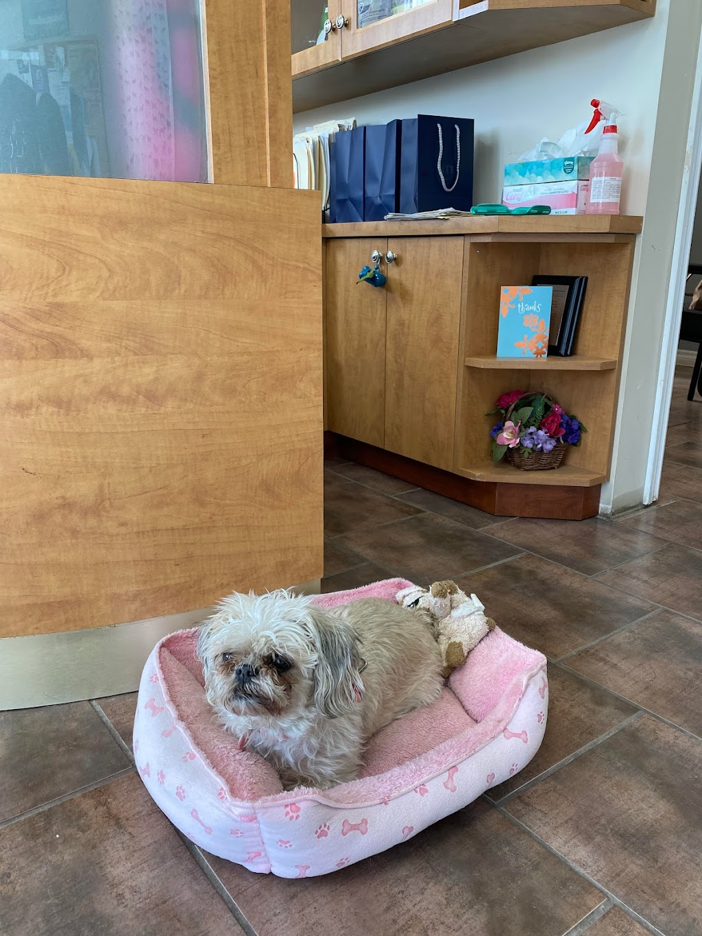 Ridgeway Animal Hospital | 257 Ridge Rd N, Ridgeway, ON L0S 1N0, Canada | Phone: (905) 894-6400