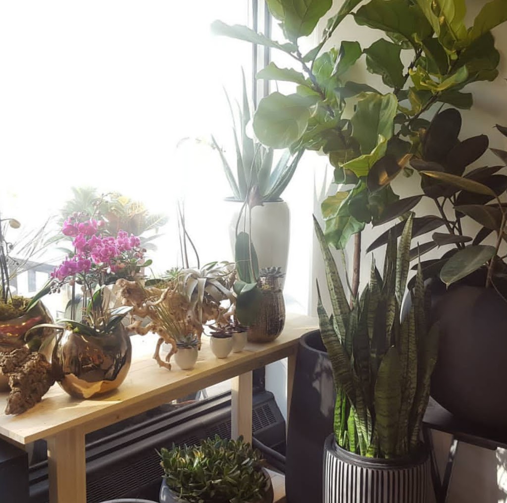 The Flower Project | 1-901 Yonge St, Toronto, ON M4W 2H2, Canada | Phone: (647) 493-1331