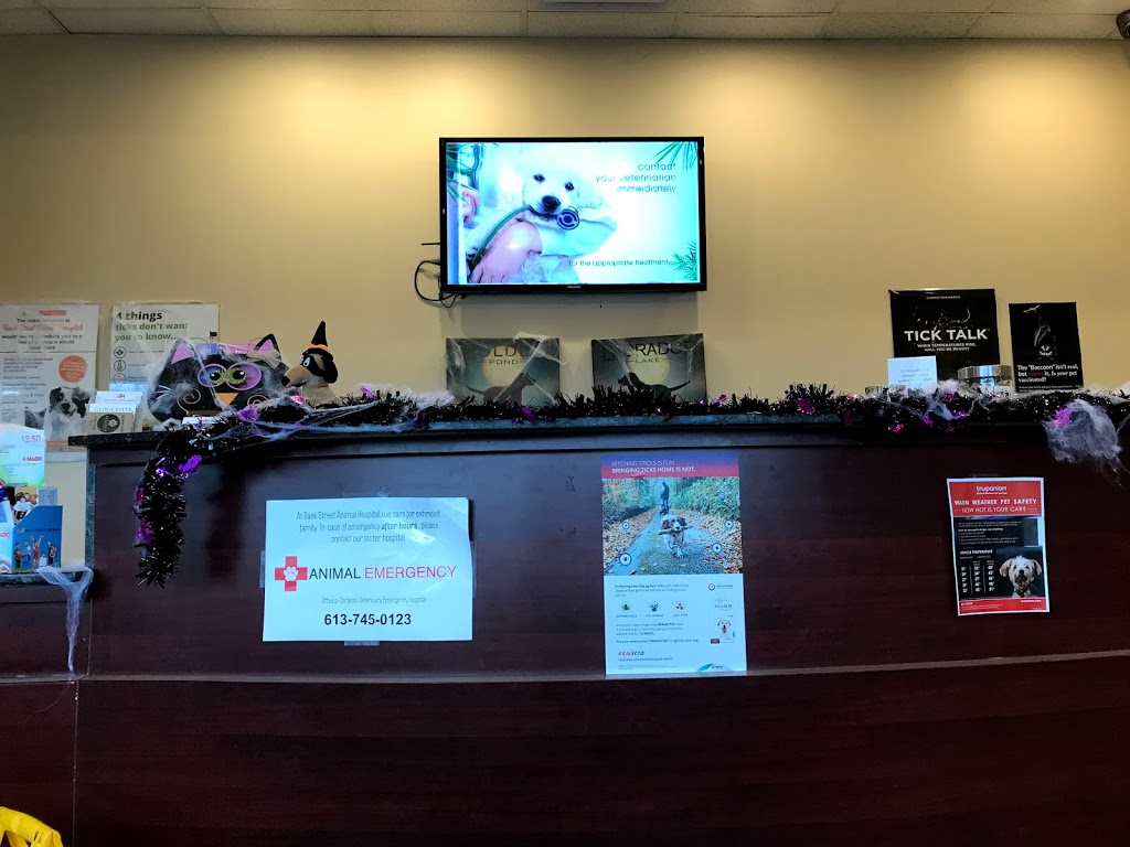 Bank Street Animal Hospital | 2446 Bank St #123, Ottawa, ON K1V 1A4, Canada | Phone: (613) 695-2060