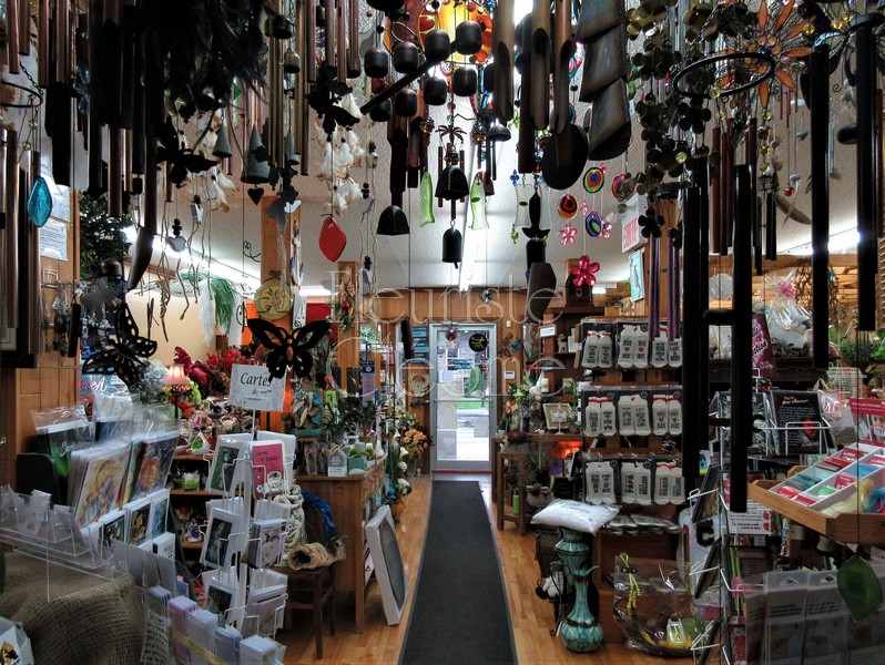 Fleuriste Et Boutique Cadeaux Cléome | 174 Boulevard Ste Anne, Sainte-Anne-des-Plaines, QC J0N 1H0, Canada | Phone: (450) 478-7312