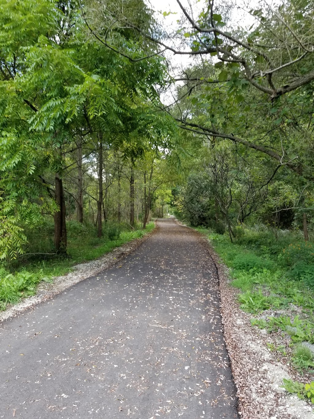Bercy (Wycliffe) Park | 7039 Leslie St, Thornhill, ON L3T 4J1, Canada