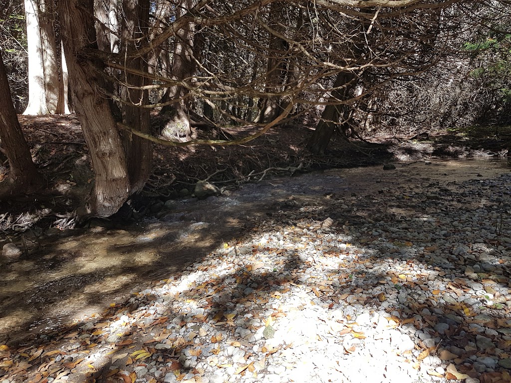 Proctor Park Conservation Area | 96 Young St, Brighton, ON K0K 1H0, Canada | Phone: (613) 394-4829
