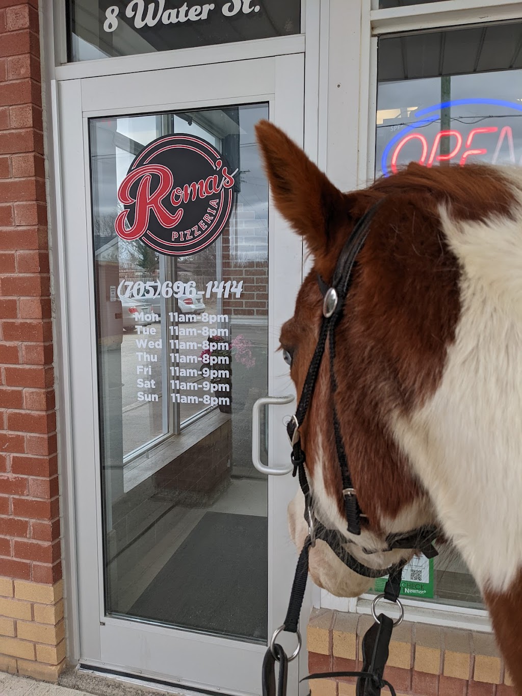Romas Pizzeria | 8 Water St Unit 6, Hastings, ON K0L 1Y0, Canada | Phone: (705) 696-1414
