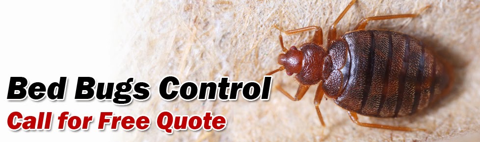 Advance Pest Control Langley | 27353 58 Crescent #207, Langley City, BC V4W 3W7, Canada | Phone: (604) 786-4161