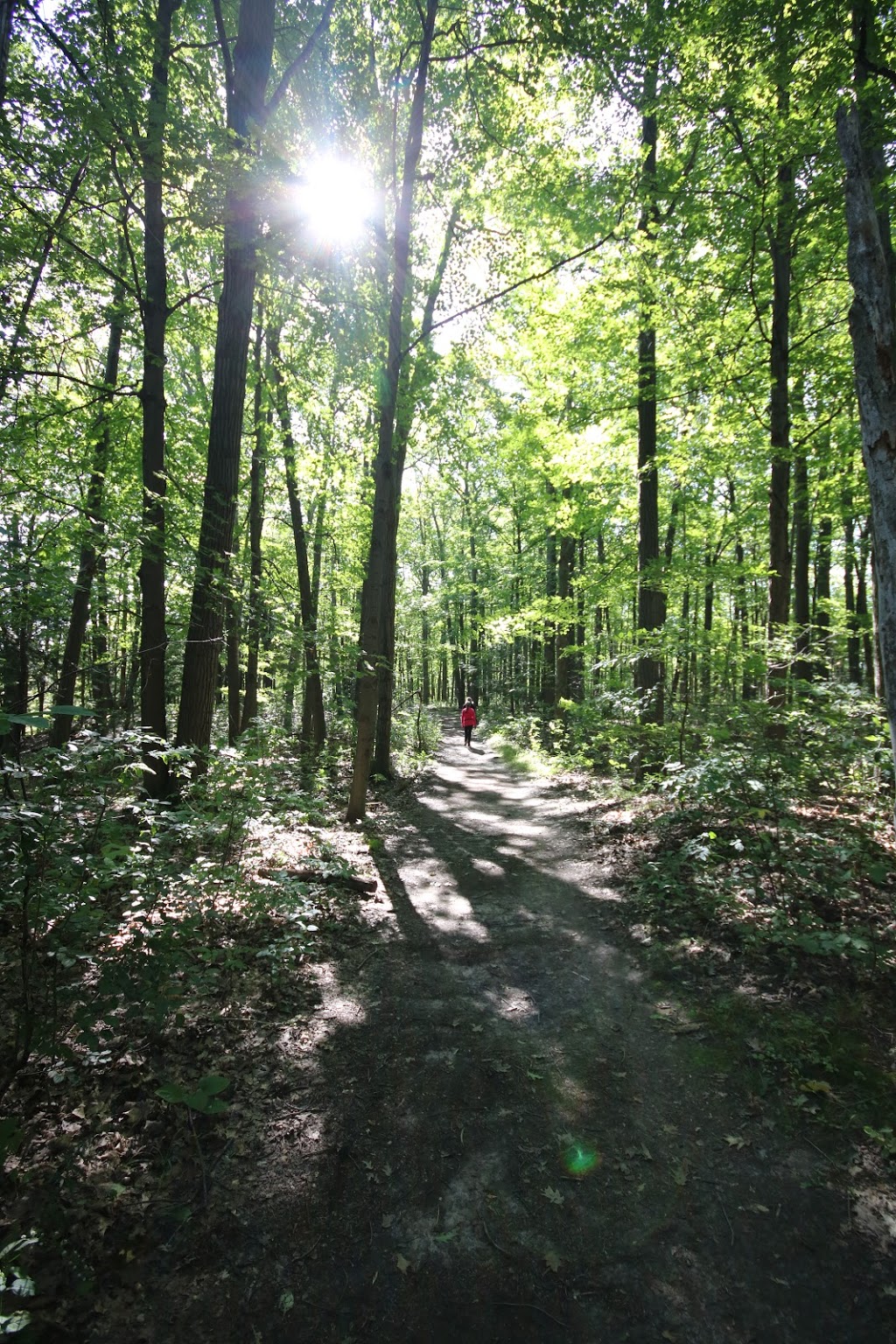 Mindfulness for Daily Life | 48 Edenbridge Dr, Thornhill, ON L4J 7V1, Canada | Phone: (416) 561-2174