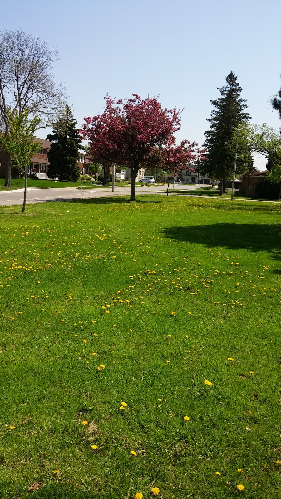 Clydesdale Park | 116 Clydesdale Dr, North York, ON M2J 3N2, Canada