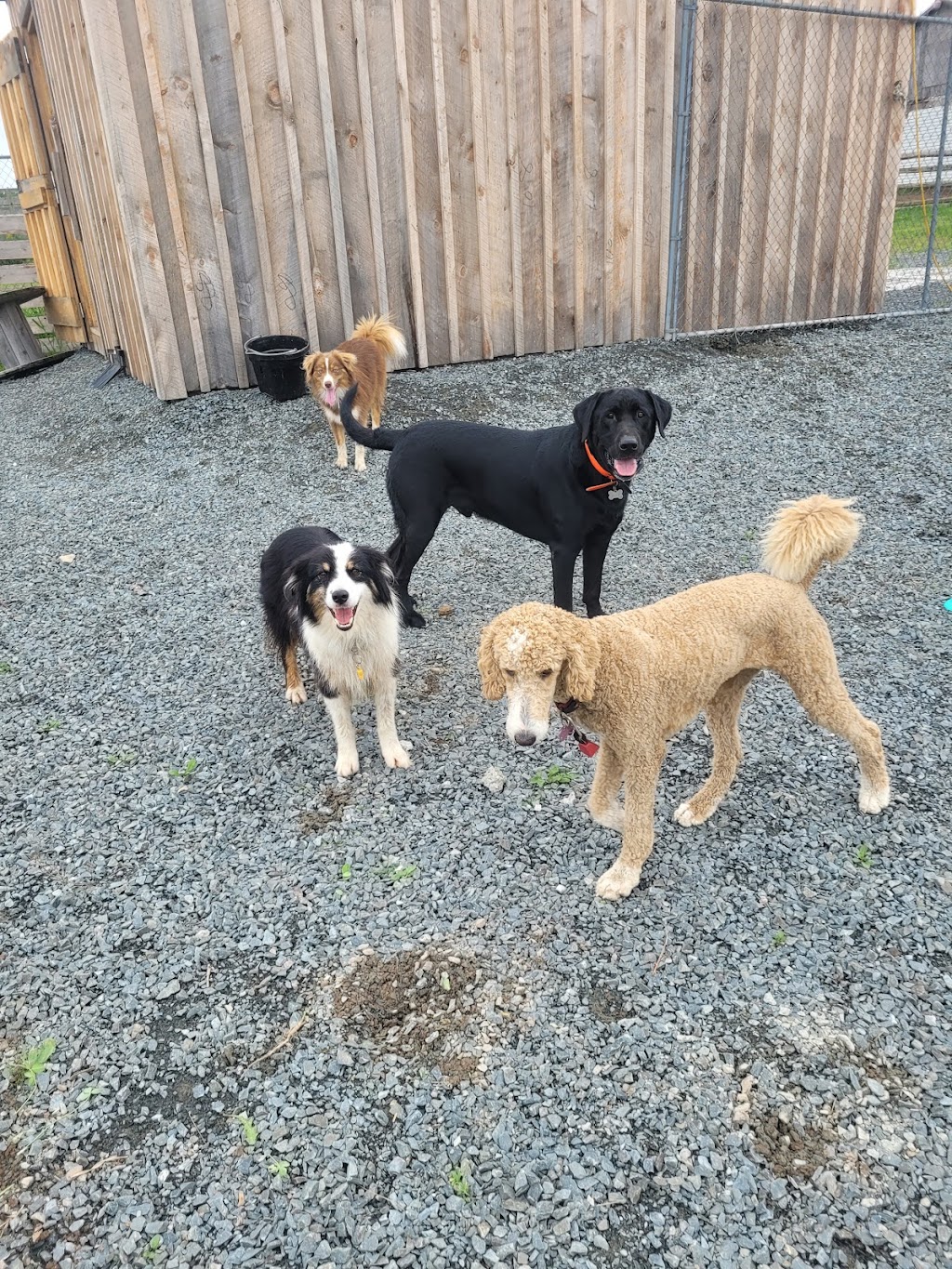 Muddy Paws Adventures, Nova Scotia | 820 McKay Rd, McKay Section, NS B0N 2A0, Canada | Phone: (902) 440-4872