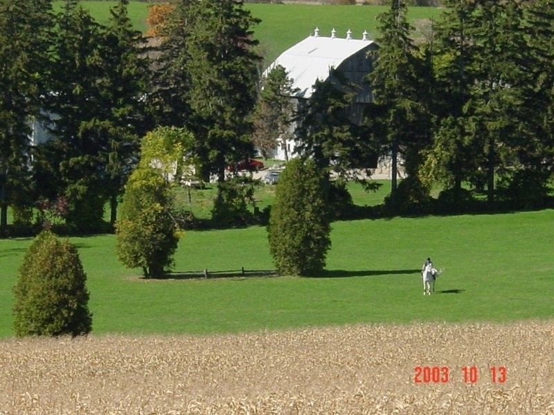Waymark Farms Ltd | 867733 Township Rd 10, Bright, ON N0J 1B0, Canada | Phone: (519) 632-7355