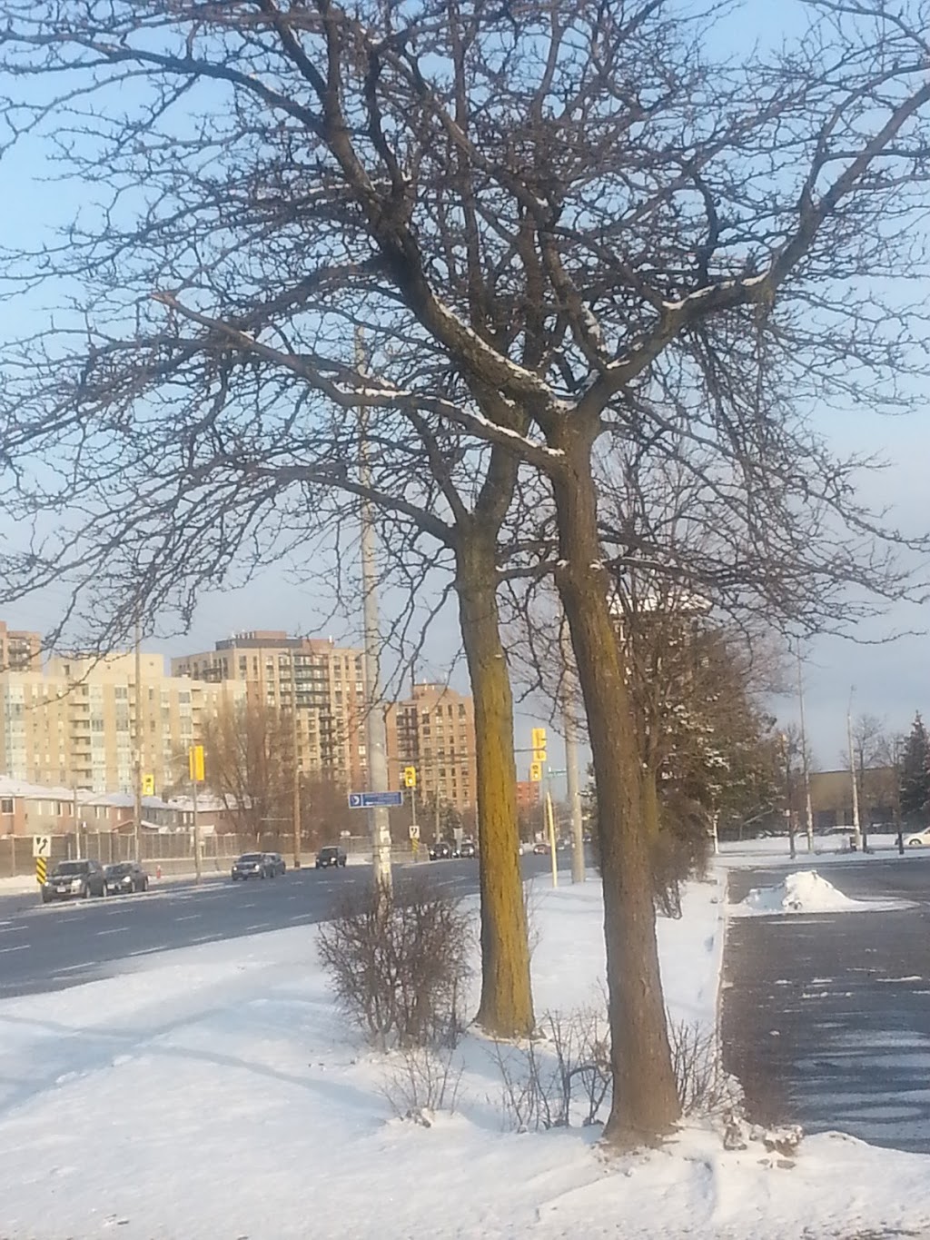 McLaughlin Village Plaza | PUNJAB INSURANCE, 499 Ray Lawson Blvd, Brampton, ON L6Y 4E6, Canada | Phone: (416) 550-1300
