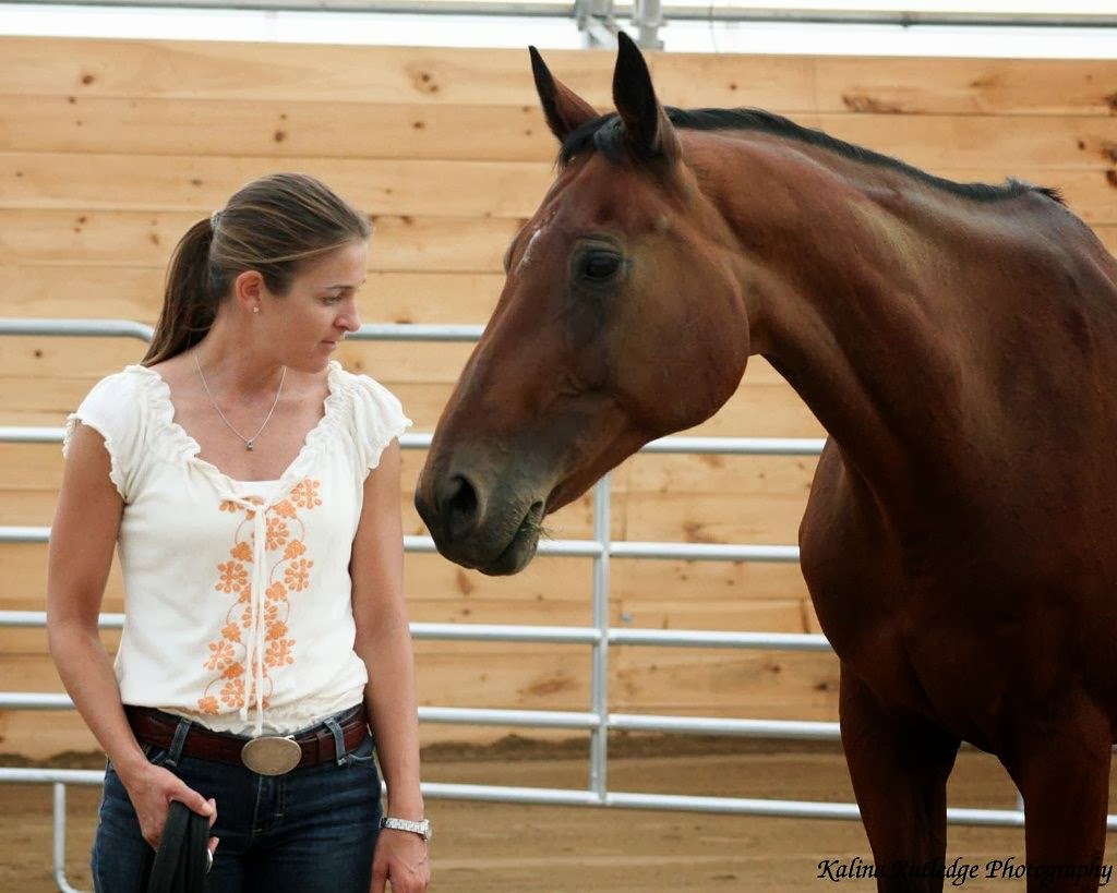 Foxview Stables Inc. | 3158 Stagecoach Rd, Osgoode, ON K0A 2W0, Canada | Phone: (613) 859-3304