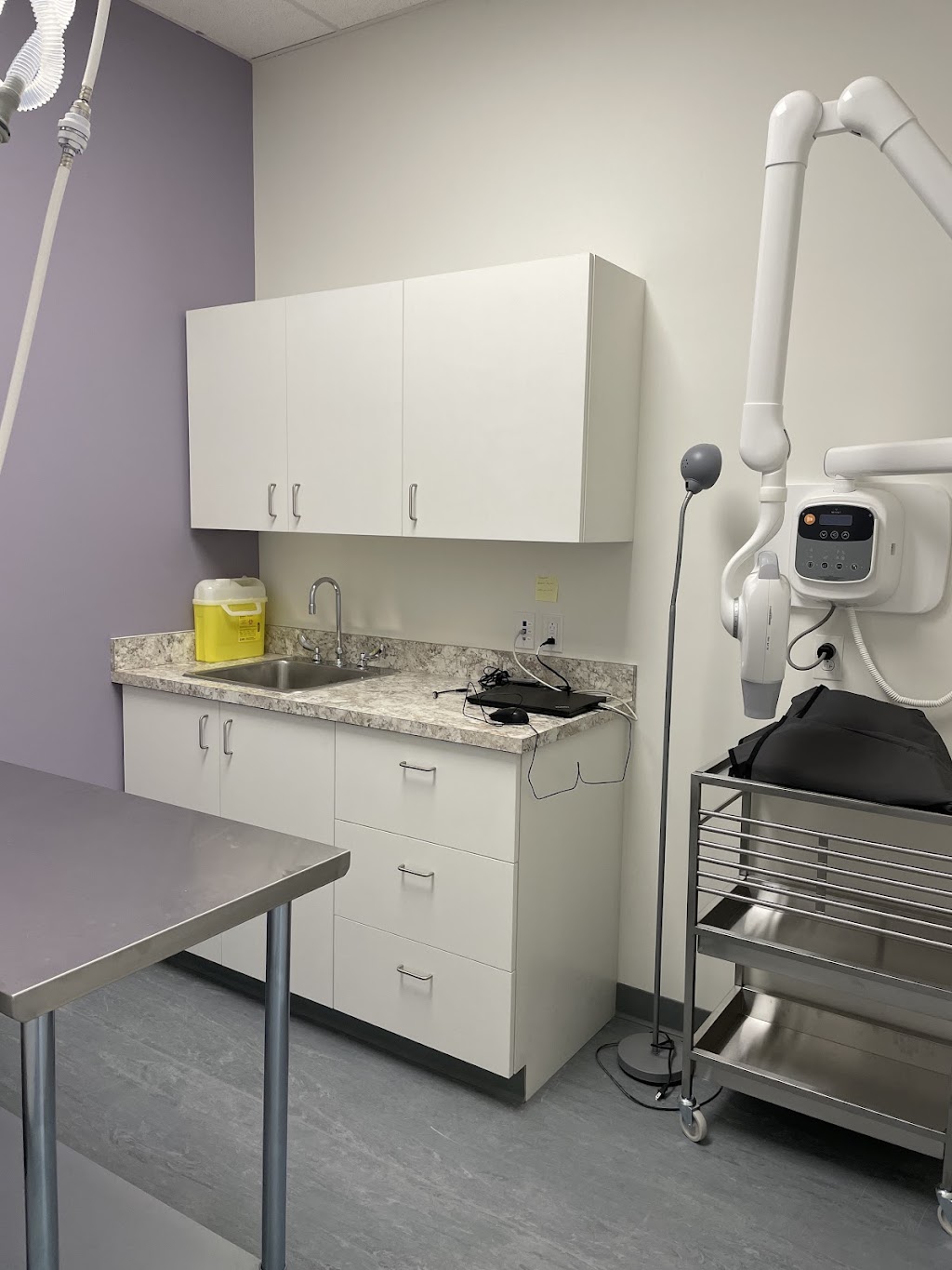 Bedford Parks Animal Hospital | 35 Bloom Ln Unit 100, Bedford, NS B4B 2E6, Canada | Phone: (902) 445-4551
