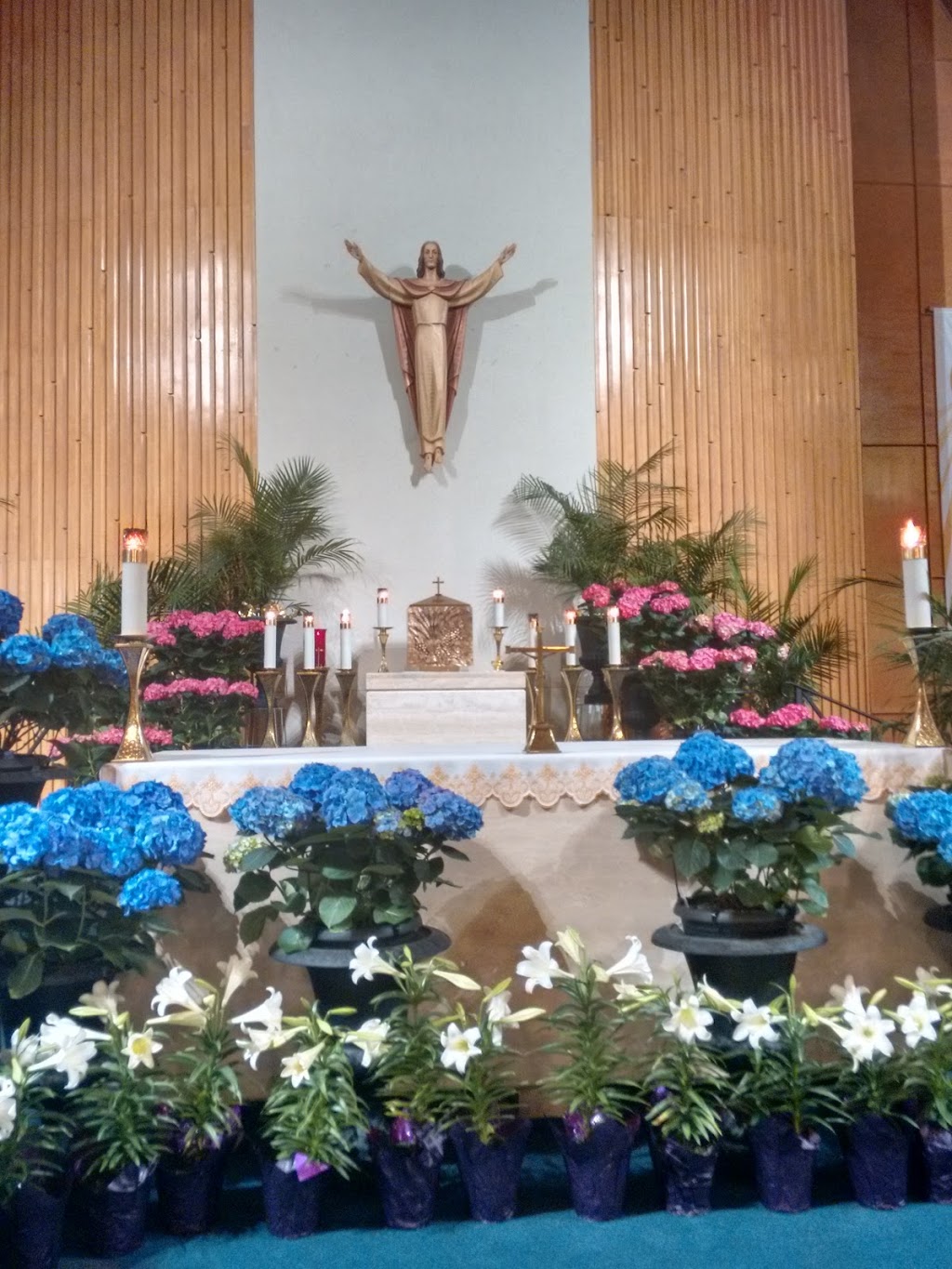 Our Lady of the Scapular | 6557 Thorold Stone Rd, Niagara Falls, ON L2J 1B2, Canada | Phone: (905) 358-7611