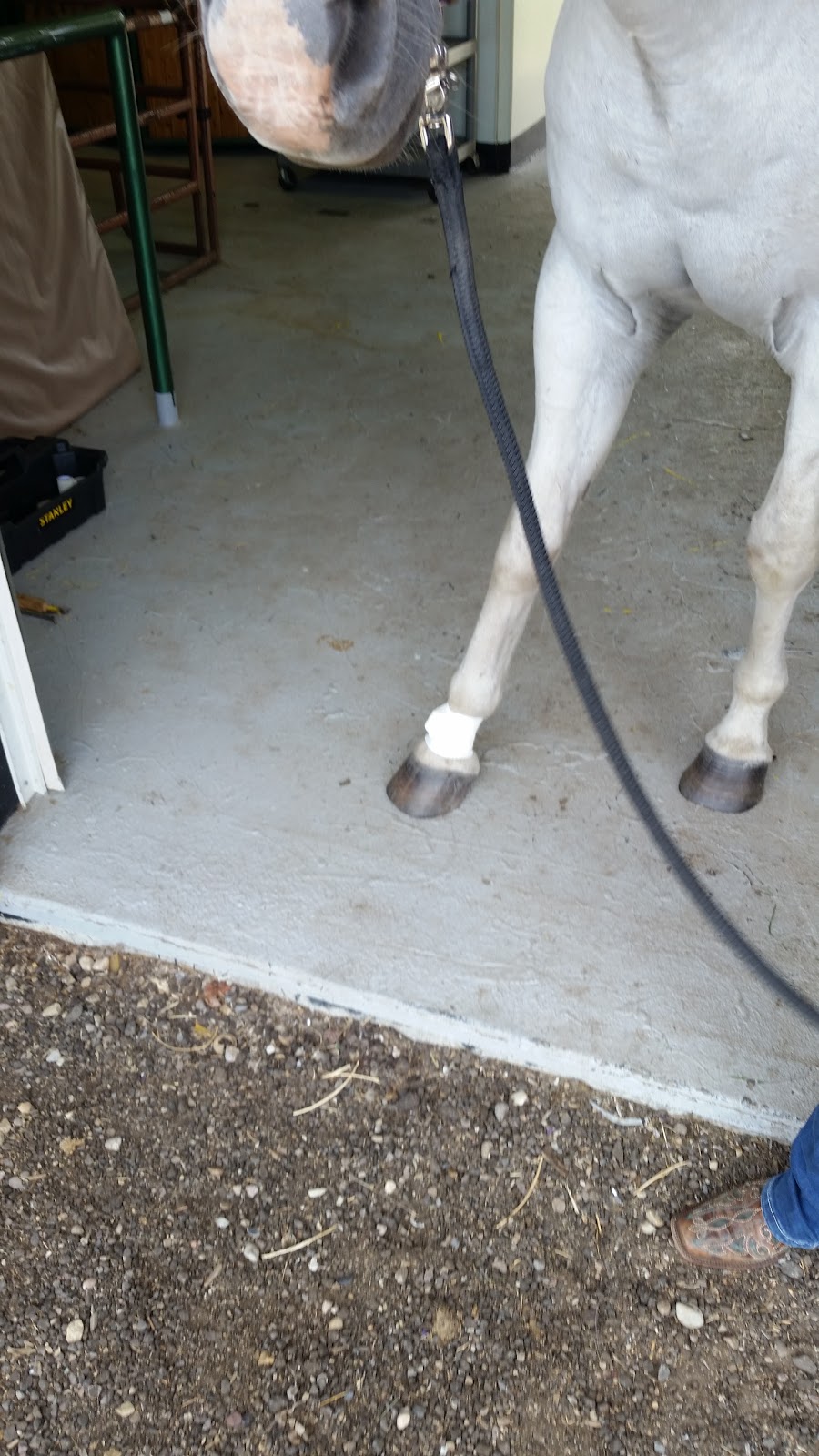 Canadian Forge & Farrier Supply | 51424 AB-60, Spruce Grove, AB T7Y 1C8, Canada | Phone: (888) 470-0010