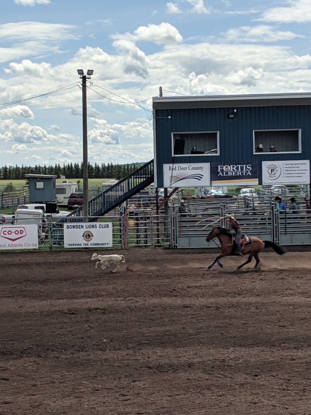 Bowden Daze Rodeo | Bowden, AB T0M 0K0, Canada | Phone: (403) 559-6316