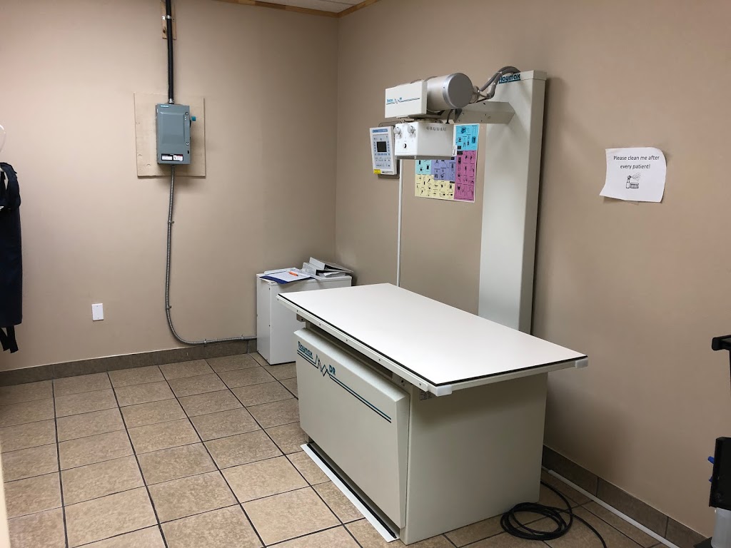 Fallsview Veterinary Clinic | 6144 McLeod Rd, Niagara Falls, ON L2G 7P5, Canada | Phone: (289) 296-2172