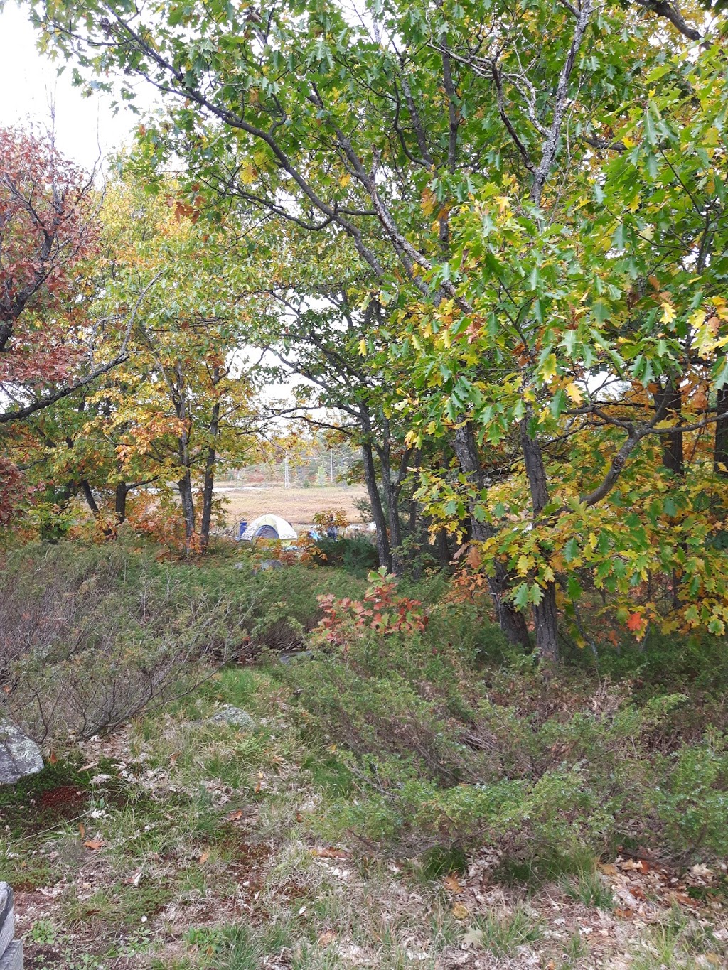 Landmark | Southwood Rd, Muskoka Lakes, ON P0C 1M0, Canada | Phone: (365) 777-4246