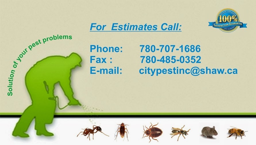 City Pest Control & Bugs Extermination | 2529 Bell Ct SW, Edmonton, AB T6W 1J9, Canada | Phone: (780) 707-1686