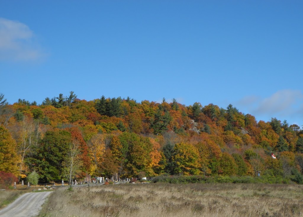 MacLaren Cemetery | 42 Chemin du Cimetière-Maclaren, Wakefield, QC J0X 3G0, Canada | Phone: (819) 921-3299