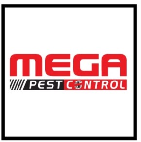 Mega Pest Control | 13781 57b Ave, Surrey, BC V3X 2V2, Canada | Phone: (604) 866-8616