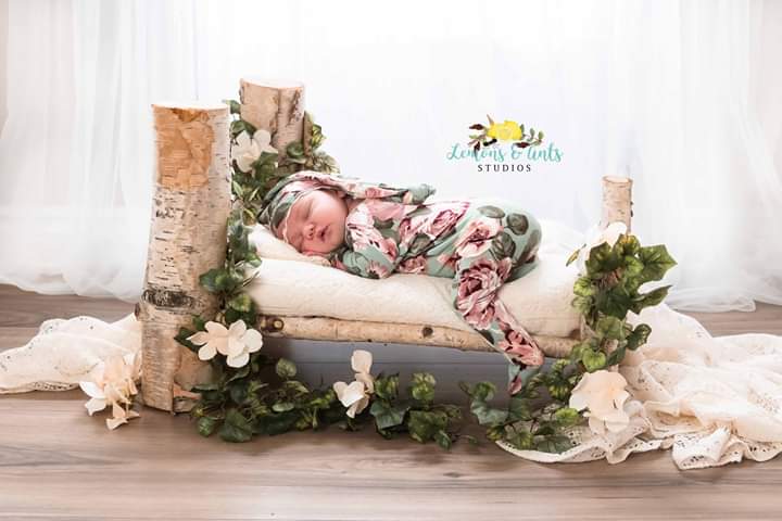Lemons & Ants Studios | Dagmar Ave, Toronto, ON M4M 1W1, Canada | Phone: (647) 685-7415