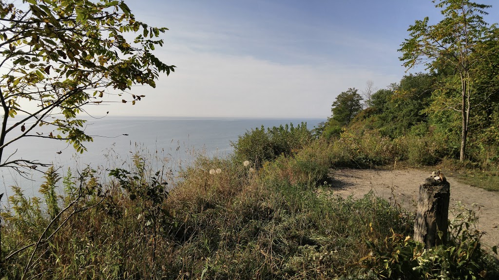 Elizabeth Simcoe Park | 180 Sylvan Ave, Scarborough, ON M1E 1A3, Canada | Phone: (416) 396-6220