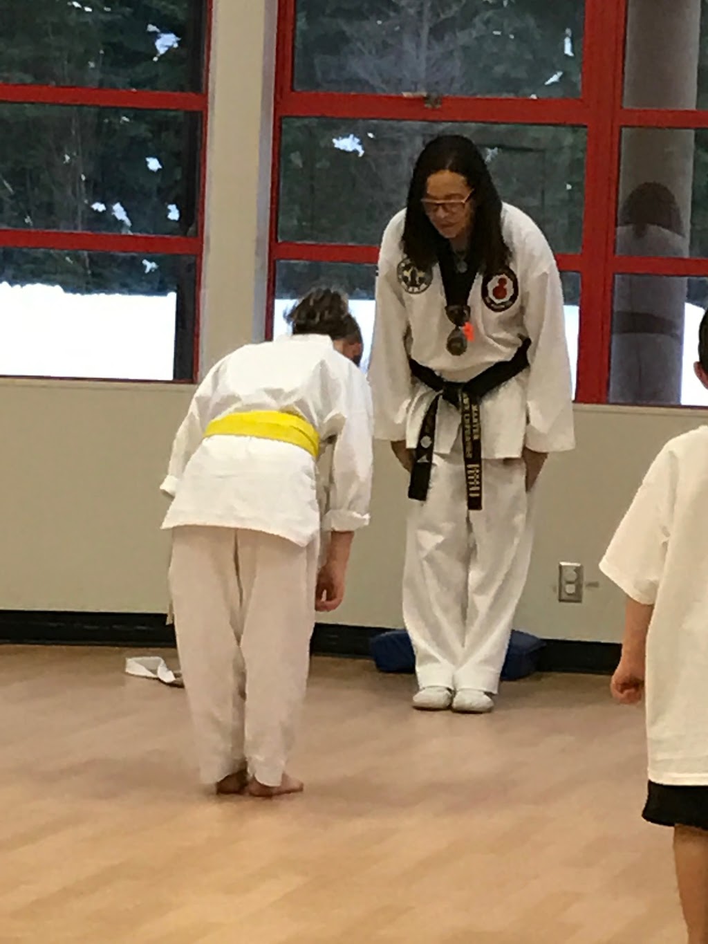 Whistler Taekwondo | 1430 Alpha Lake Rd, Whistler, BC V0N 1B1, Canada | Phone: (604) 938-2334