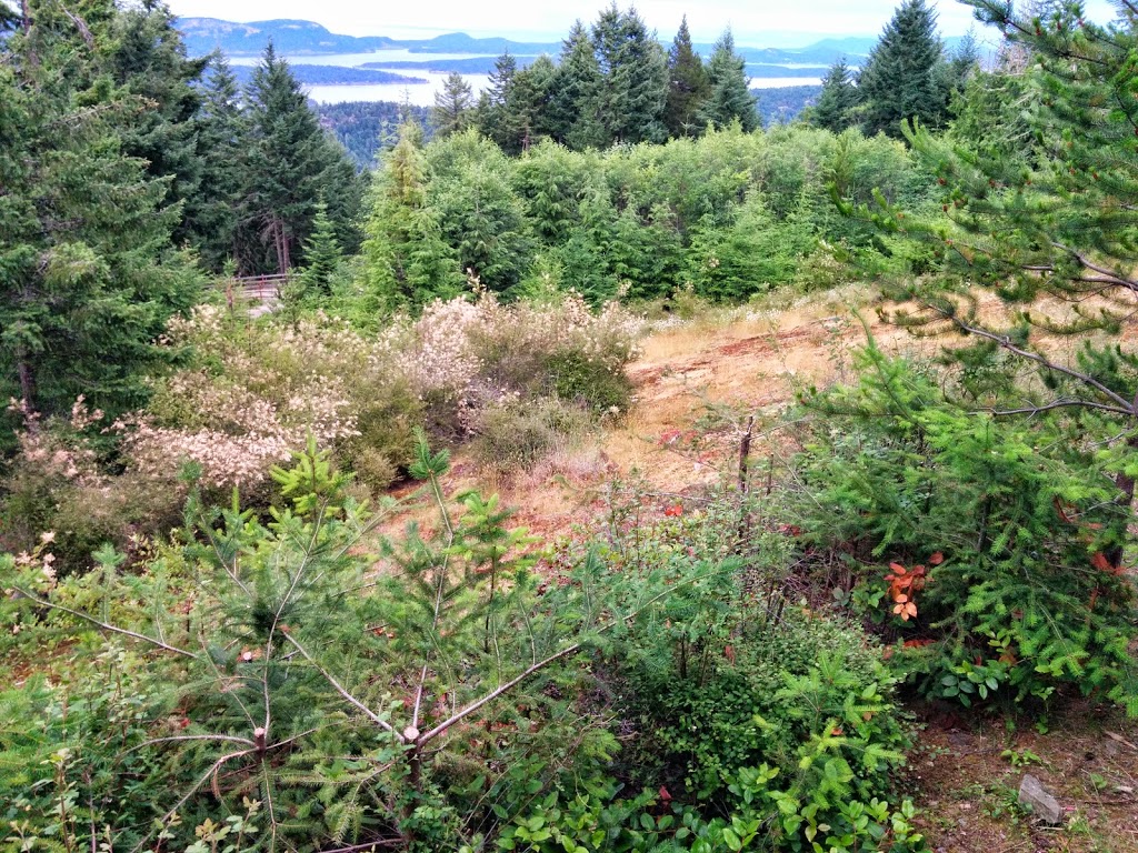 Celtic Place | 360 Wright Rd, Salt Spring Island, BC V8K 2H8, Canada | Phone: (250) 931-8000