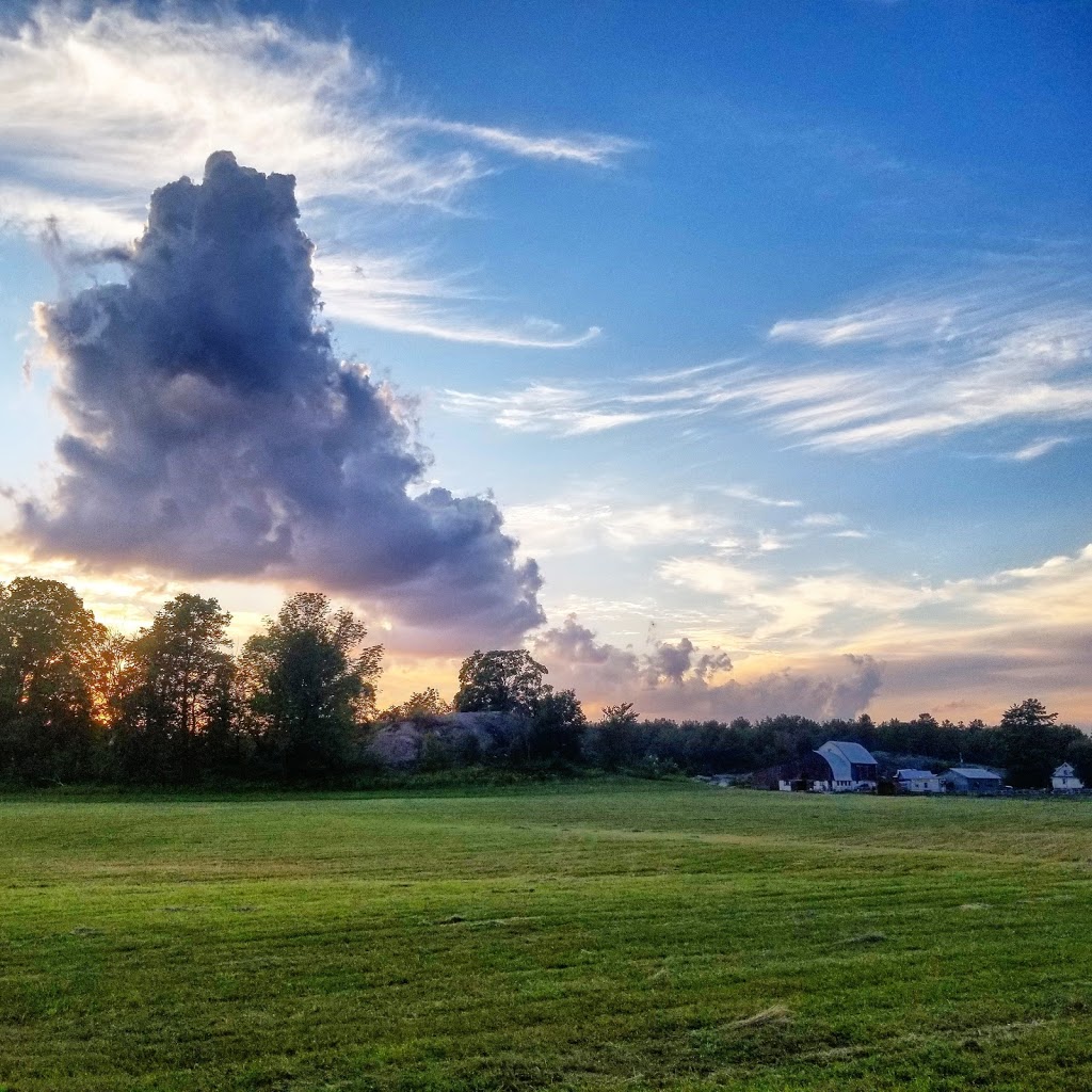 Morstar Equine | 1329 Southwood Rd, Severn Bridge, ON P0E 1N0, Canada | Phone: (705) 238-6697