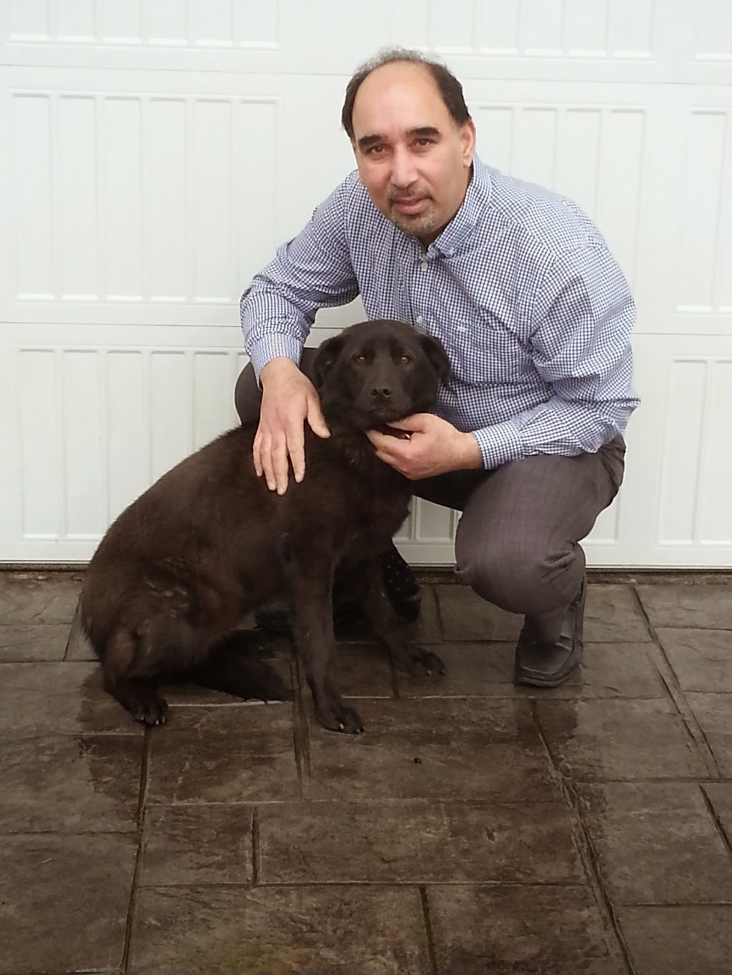 Greystone Animal Hospital | 1601 Burnwood Dr #7, Burnaby, BC V5A 4H1, Canada | Phone: (604) 559-4488