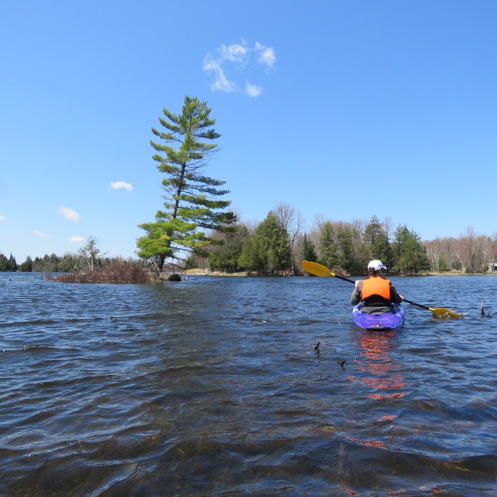 Clayton Taylor Park | Mississippi Mills, ON K0A 1P0, Canada