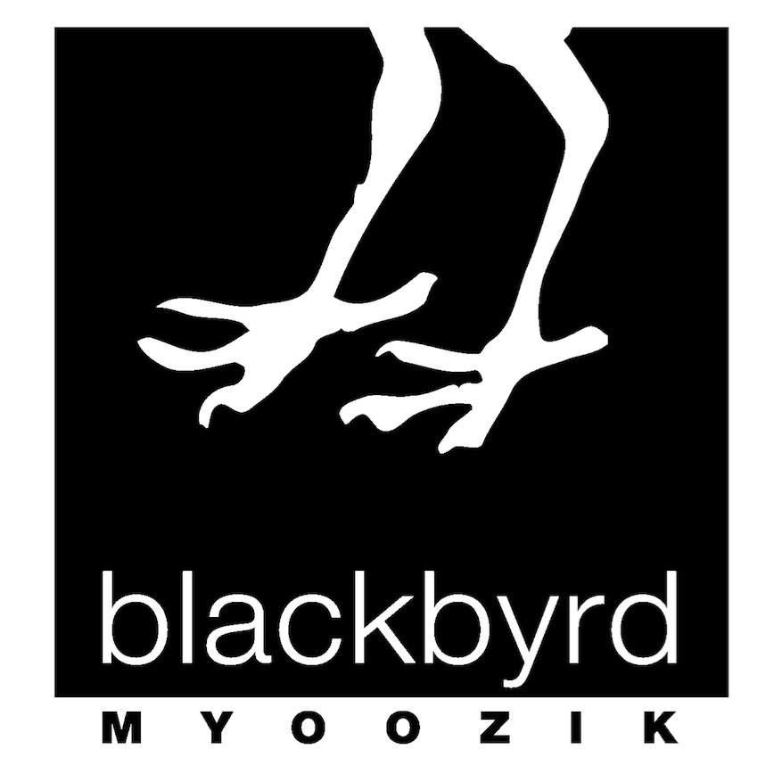 Blackbyrd Myoozik | 1126 17 Ave SW, Calgary, AB T2T 0B4, Canada | Phone: (403) 367-7811