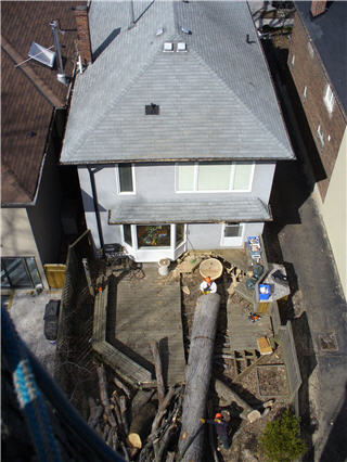 Bark Ridge Tree Service | 869 Old Muskoka Rd RR 3, Utterson, ON P0B 1M0, Canada | Phone: (705) 789-6653