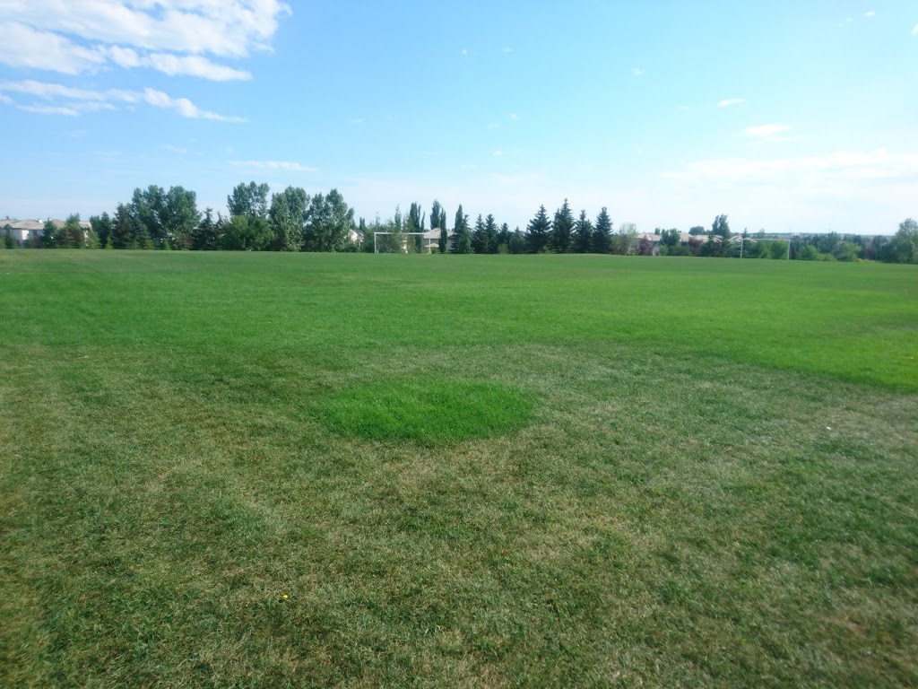 Ascension Of Our Lord fields | 4Z4, 509 Harvest Hills Dr NE, Calgary, AB T3K 4G9, Canada | Phone: (403) 500-2075