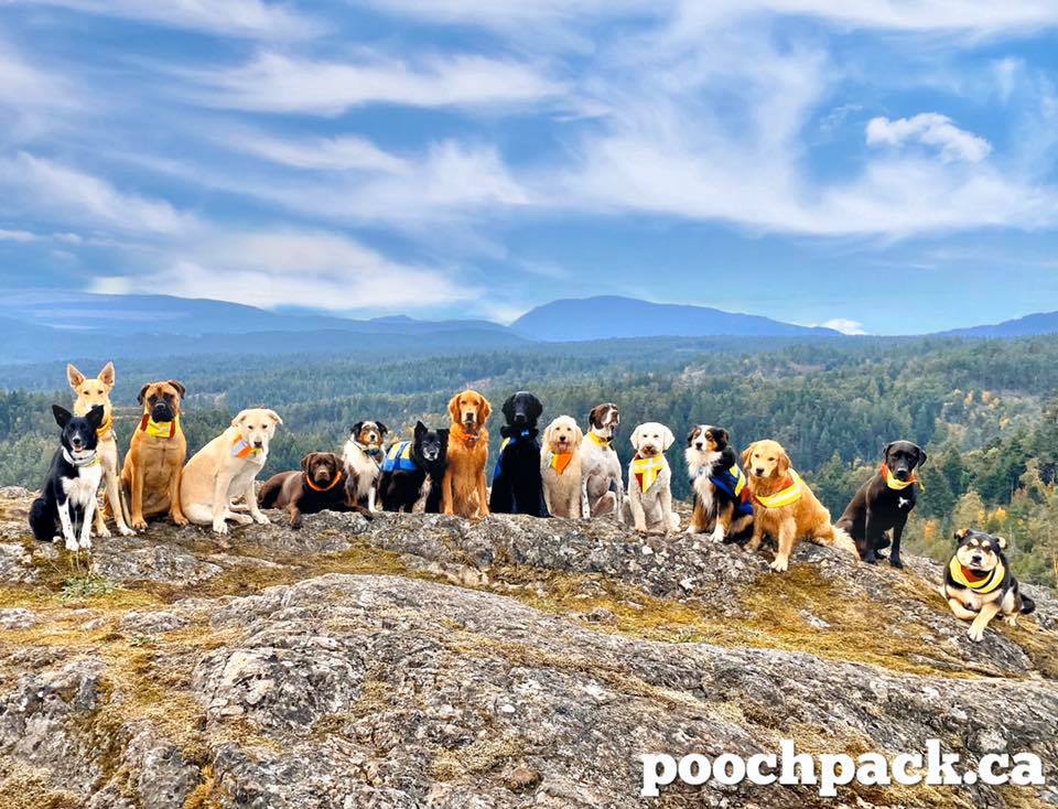Pooch Pack Adventures | 3312 Hammond Bay Rd, Nanaimo, BC V9T 1E6, Canada | Phone: (250) 619-8241
