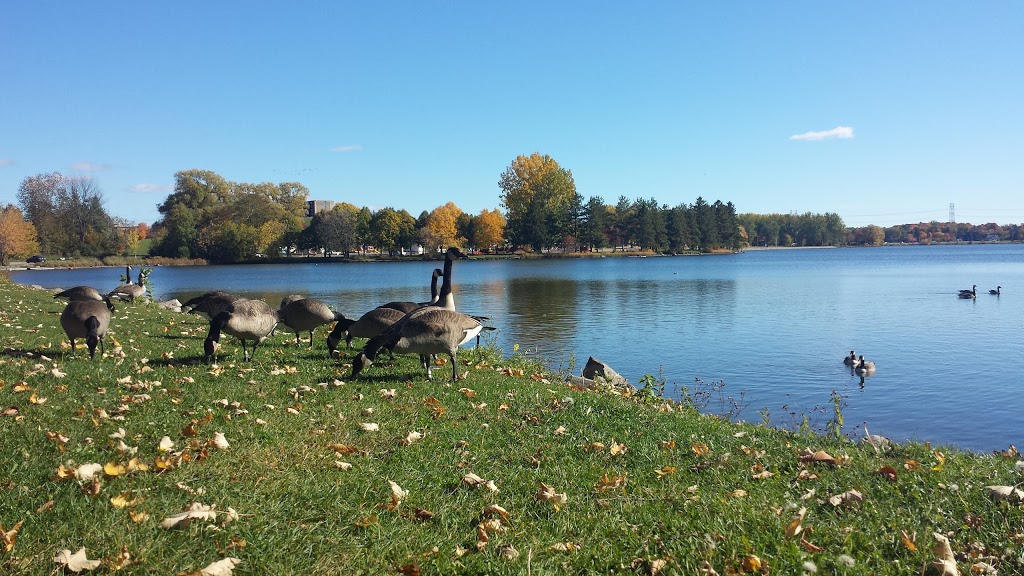 Mooneys Bay Park and Beach | 2960 Riverside Dr, Ottawa, ON K1V 8N4, Canada | Phone: (613) 580-2595