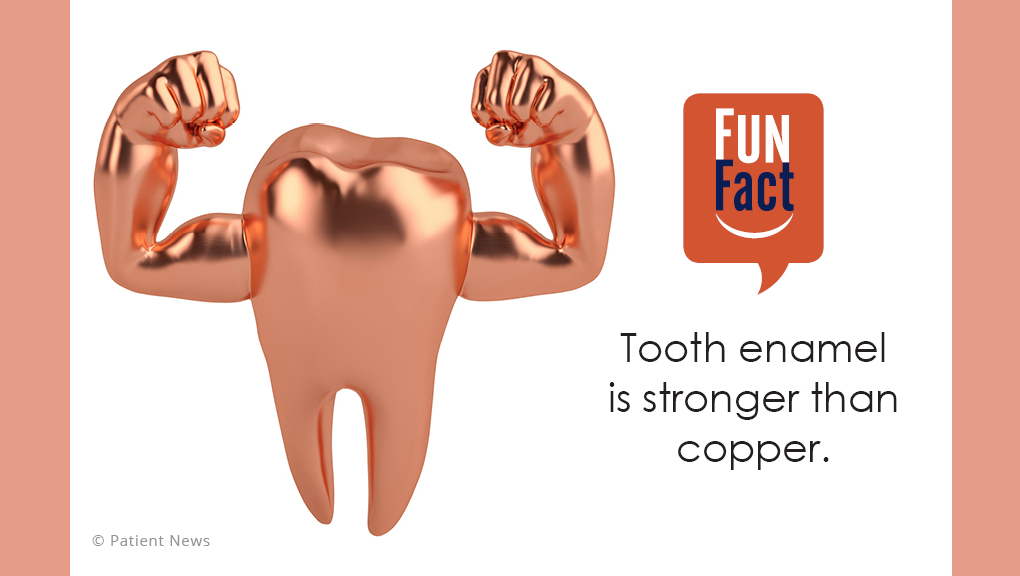 Cedarbrae Dental | 3561 Lawrence Ave E Unit 2, Scarborough, ON M1H 1B2, Canada | Phone: (416) 282-7986
