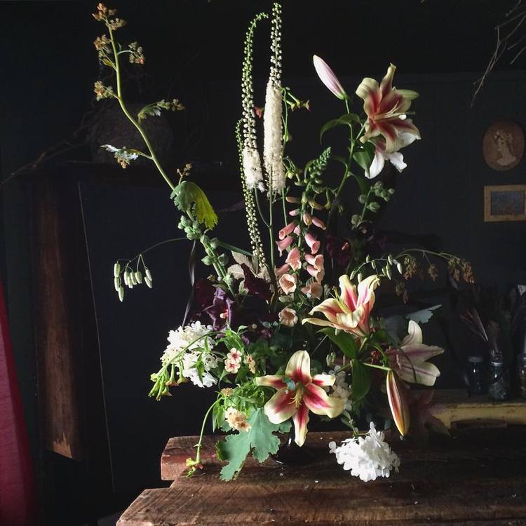 Ardelia Farm & Co. | 3118 W Glover Rd, Irasburg, VT 05845, USA | Phone: (802) 323-4178