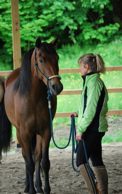 Reining Hope AEAAT LLC and Reining Hope THP LTD a 501(c)3 Non-pr | 574 Sunset Dr, Morgan, VT 05853, USA | Phone: (802) 895-9166