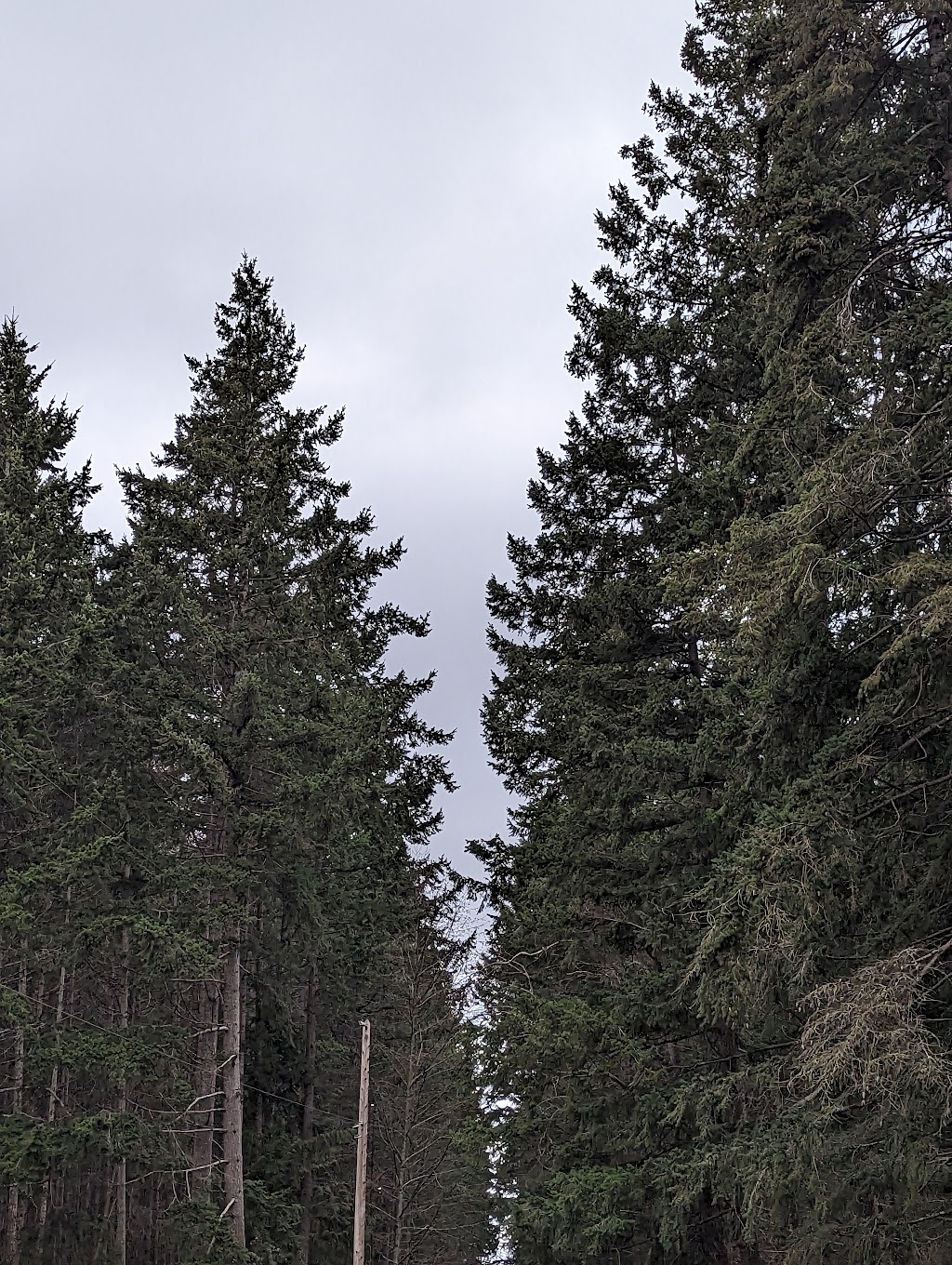 Highland Park | 1519 Highridge Dr, Comox, BC V9M 4H7, Canada | Phone: (250) 339-2202
