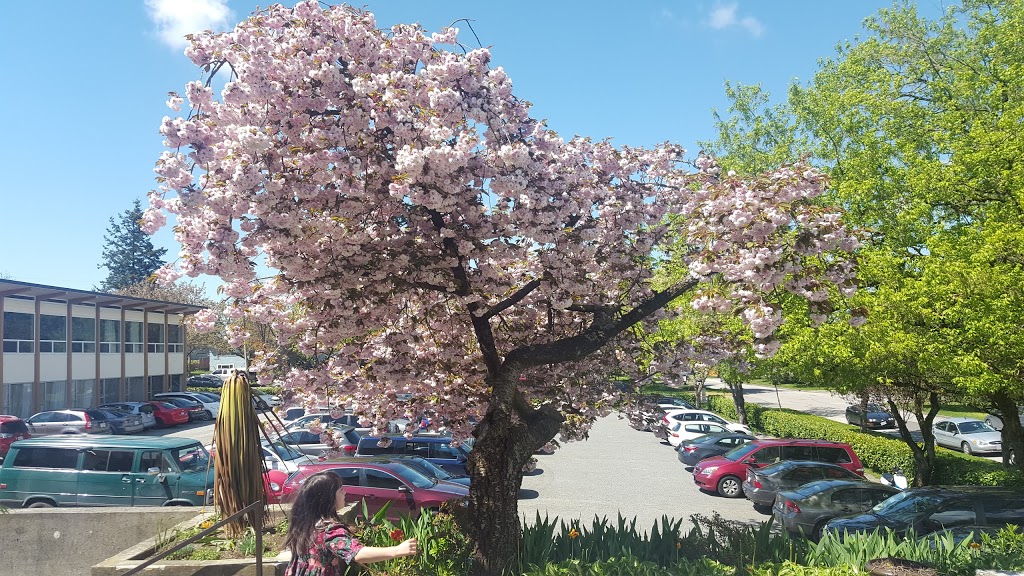 Holy Family Parish | 4851 Beatrice St, Vancouver, BC V5N 4J5, Canada | Phone: (604) 875-8414