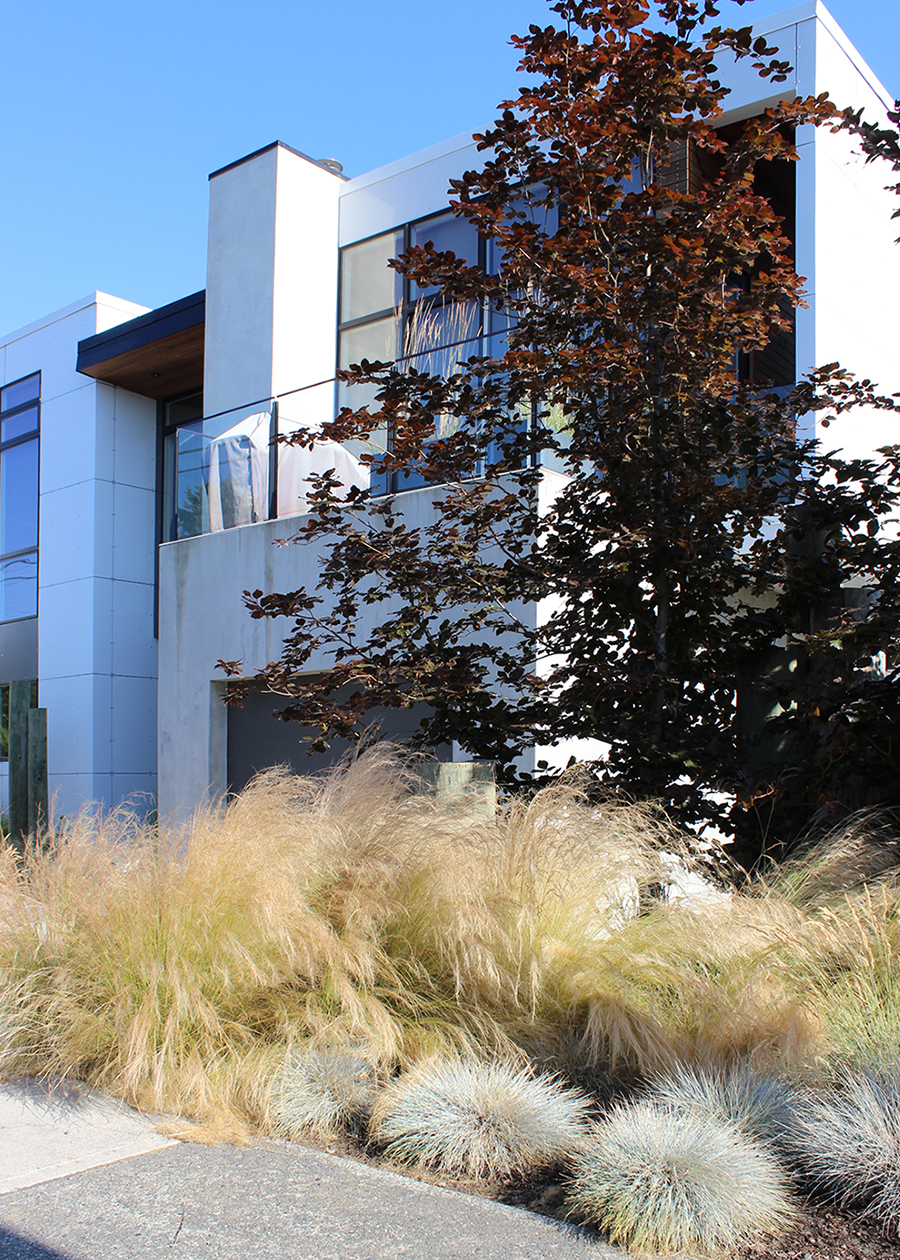 Green Elevations | 315 Seymour River Pl, North Vancouver, BC V7H 1S7, Canada | Phone: (604) 613-2699