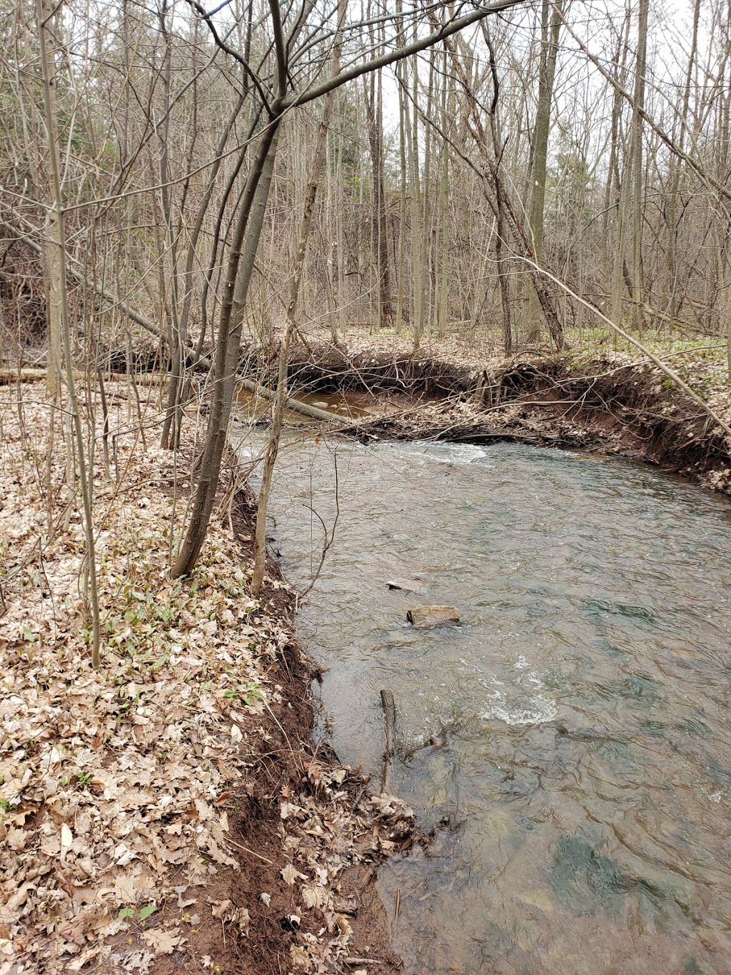 Forest Glade Walkway | Oakville, ON L6H, Canada