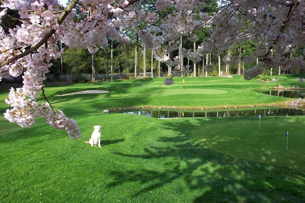 Tap-Ins Putting Course | 4000a Columbia Valley Rd, Cultus Lake, BC V2R 5H5, Canada | Phone: (604) 858-7888