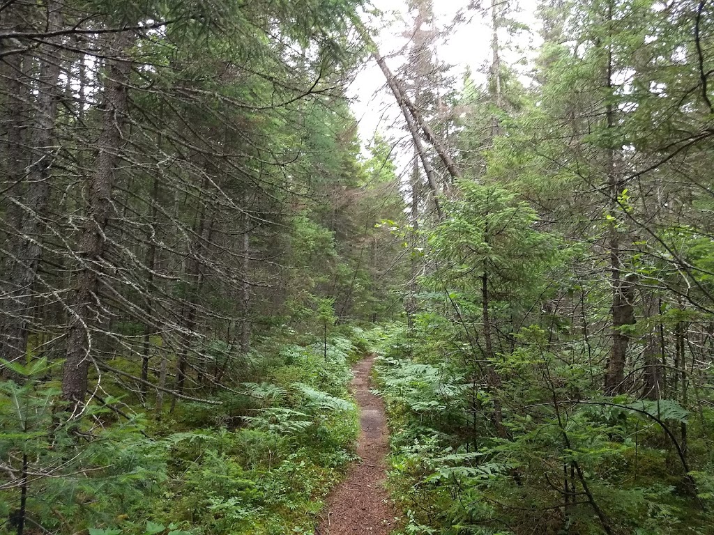 Moose Bog | Island Pond, VT 05846, USA