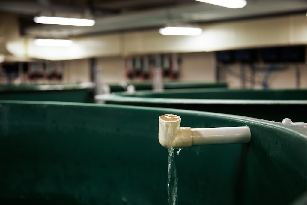 Center for Aquaculture Technologies - Victoria | 797 Victoria Rd, Victoria, PE C0A 2G0, Canada | Phone: (902) 730-2085