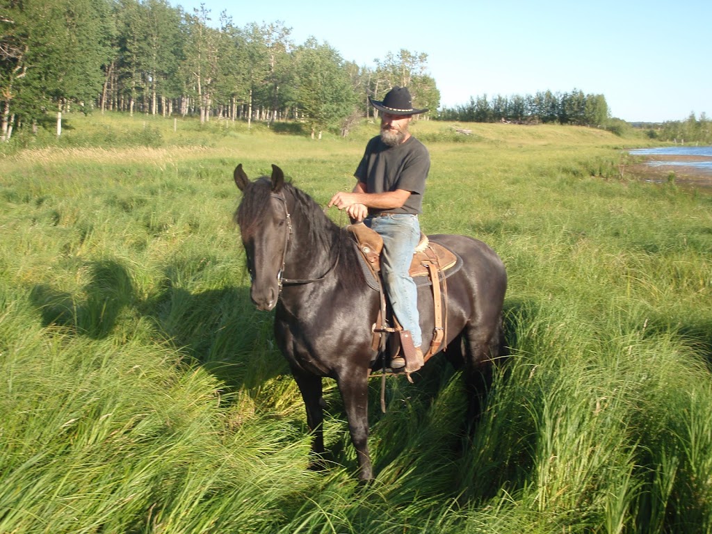 Canadian Hay Ranch | 30501 Range Road 45 Mailing address: Box 251, Cremona, AB T0M 0R0, Canada | Phone: (403) 990-1159