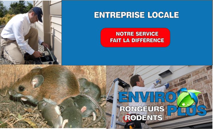 Extermination Enviro Plus | 480 Chemin Saint-Féréol, Les Cèdres, QC J7T 1M6, Canada | Phone: (514) 466-3204