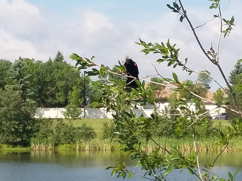 Christopher Cruz Park | 1305 Potter Greens Dr NW, Edmonton, AB T5T 6A3, Canada